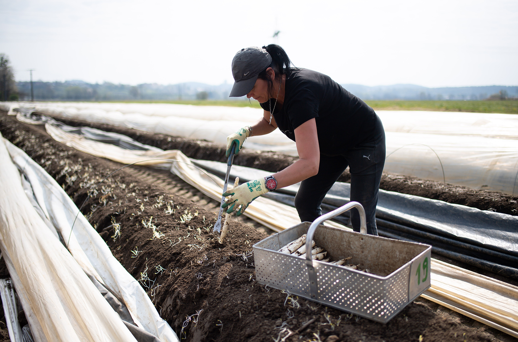 В Швеции дефицит рабочих рук: каких работников ищут больше всего